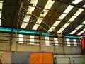 ileana pastorino flying trapeze single