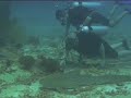 divetrip divetrip