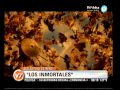 Visión Siete: Adelanto del estreno de "Los inmortales"(1 month ago)