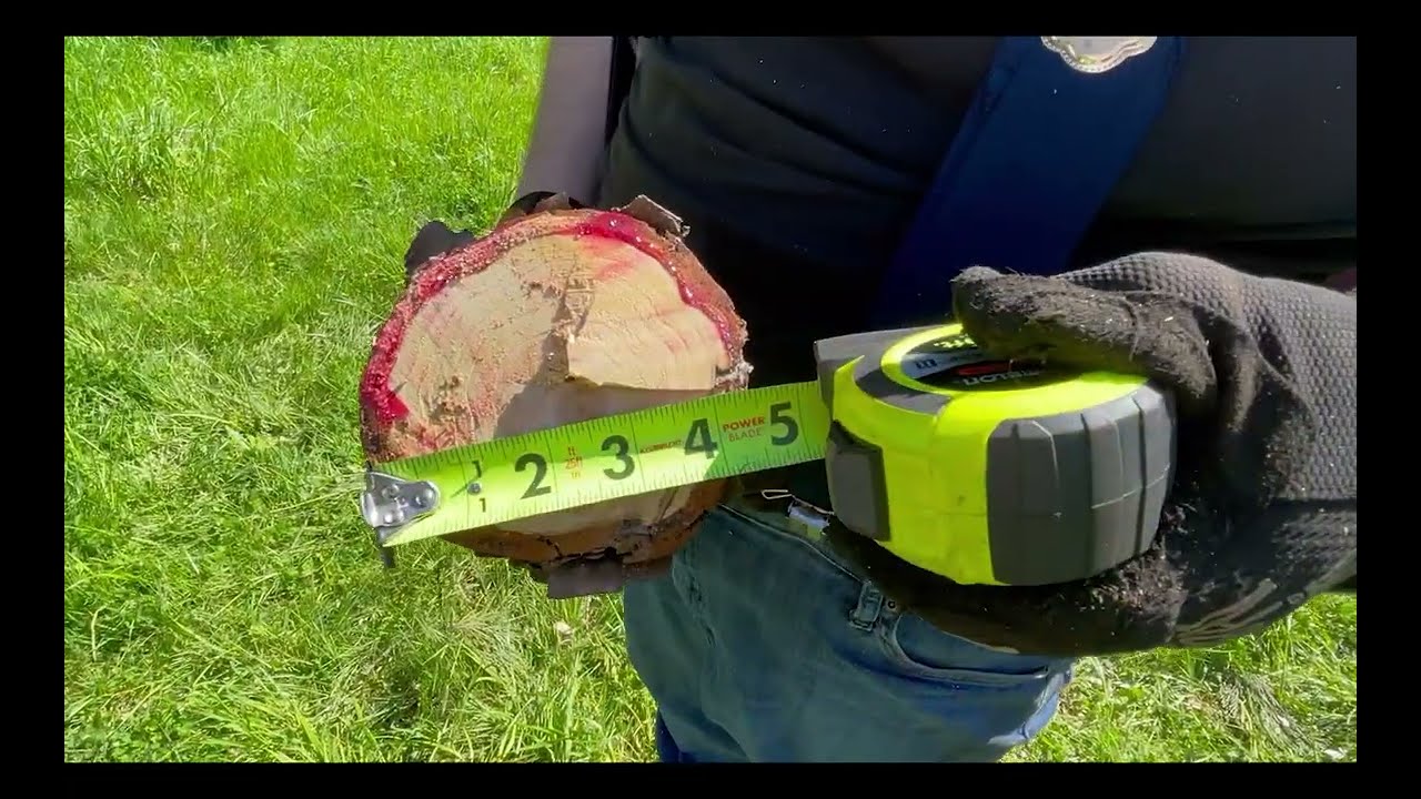 GTS Final commercial