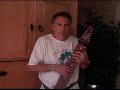 Chapman Stick Purple Heart