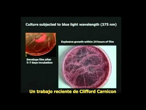 Imagen de previsualización de YouTube