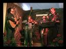 Dminor7th - Pickin` In The Wind (by Mark O`Connor)