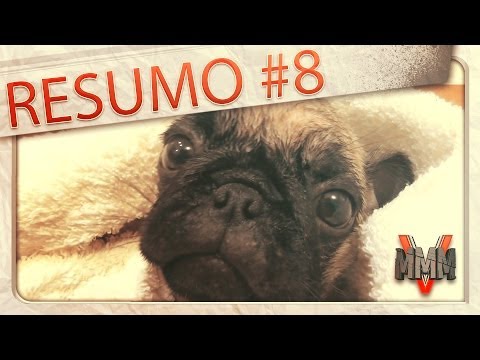 TORRESMO DOG E PEREIRA BARRETO
