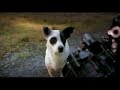 Bajaj XCD 125 DTSi - TV Promo (HQ) Bajaj XCD 125 DTSi - TV Promo (HQ)