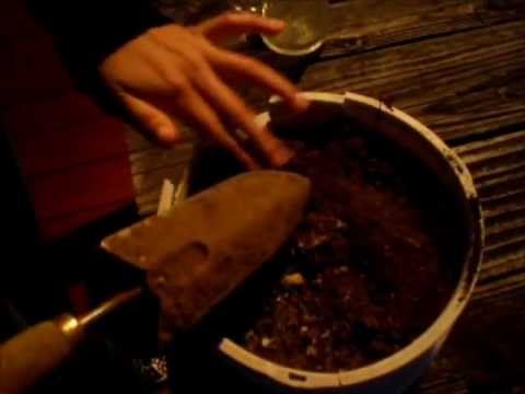 how to help global warming