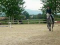 Chevaux Cso