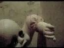 BABY CREEP