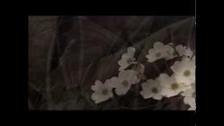 Cheb Badi Zahri Winta Yetfakarni Live 2013