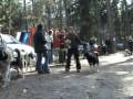 BALTIK CUP apdovanojimai II video
