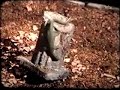 un paseo muy romántico
