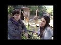 Nossa Língua 2 - Zoológico - bloco 03