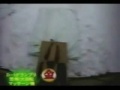 Pegadinha japonesa na neve