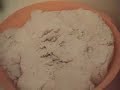Proceso NOPAL-ILLA