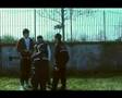 Al Parco - video degli studenti di Ciampino