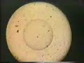Marcel Duchamp (1926) - Anemic cinema