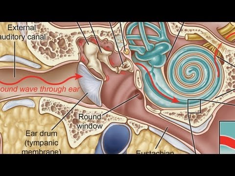 how to relieve outer ear infection