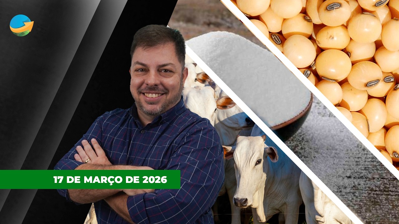 FECHAMENTO DE MERCADO - EDIÇÃO 17/03/2026