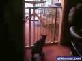 Zobacz film