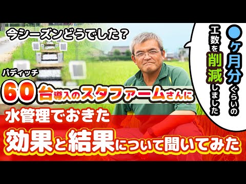 今シーズンどうでした？パディッチ水管理でおきた「効果と結果」について聞いてみた。有限会社スタファーム様