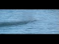 16062007 B28 rc-boat