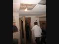 videos de surprise viki 0001