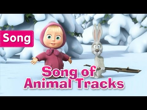 Song of Animal Tracks 