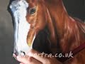 Speed Painting - horse portrait in pastel (Billy)