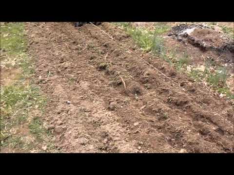how to fertilize square foot garden