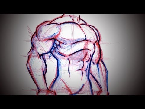 How To Draw Superhero Chest (Torso)