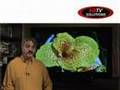 Panasonic TH-50PZ700U Plasma HDTV Review