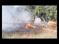 ÇOCUKLARIN ATEŞLE OYUNU MAHALLELİYİ KORKUTTU