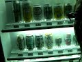 Racist Japanese Vending Machine! Racist Japanese Vending Machine!