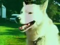 SURREAL LONDON