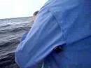 Cundle III - Matt Catches Banjo Shark