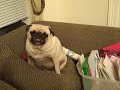 VID00029.MP4