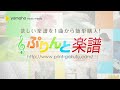 Ns'あおい