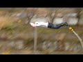 minakami-bungy-jump