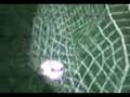 pes 09 gol de taco