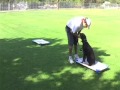 Bear the Rottweiler at 5 months.
