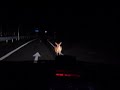 Deer Hunter in Tanzawa