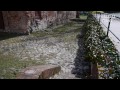 Kloster Lehnin in Brandenburg