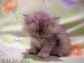Please click on me to play my video!