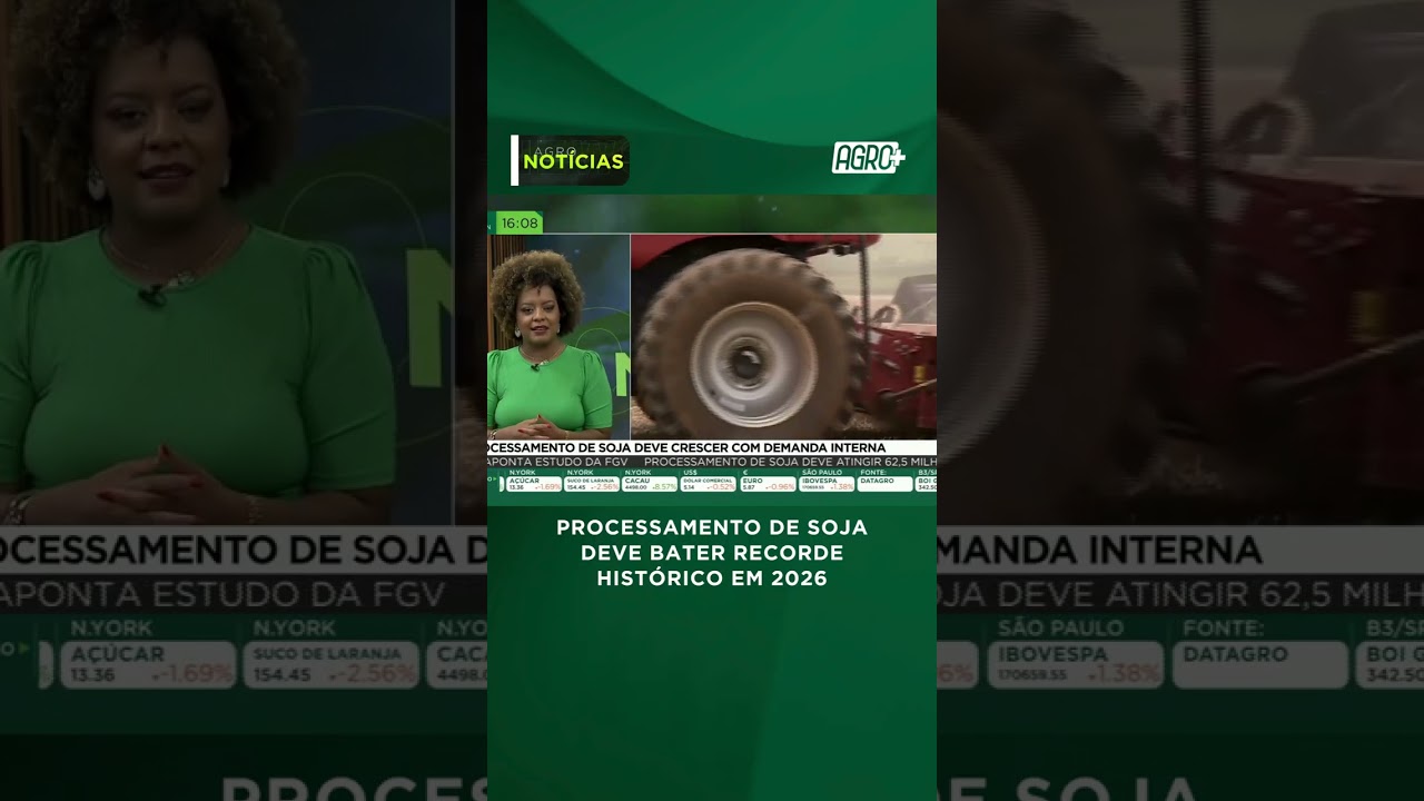 Soja: indústria prevê novo recorde em 2026
