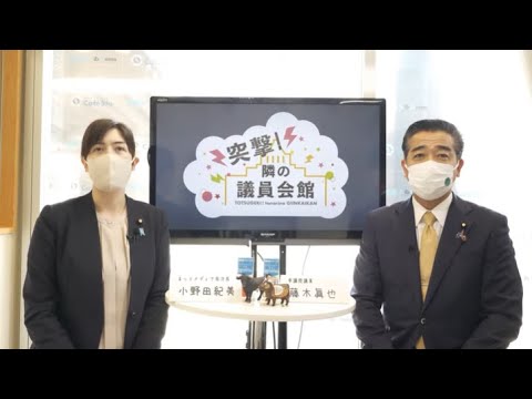 【CafeSta】突撃!隣の議員会館 ゲスト: 藤木眞也 参議院議員 司会:小野田紀美ネットメディア局次長(2022.3.4)