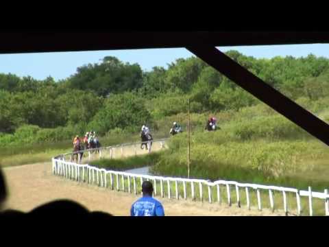 horse racing