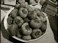 Food Photos Sans Coolr Food Photos Sans Coolr