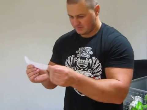 IFBB -