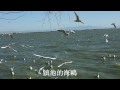《滇池圆舞曲》刘炽作曲 民乐合奏