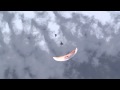 Paramotor Pick n Flick BASE Jump Red Bull Air Force HD